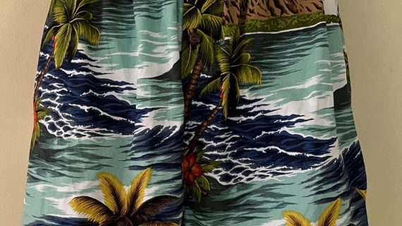 Leahi Shores teal boxer