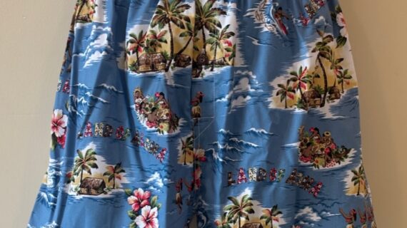 Aloha Land blue boxer